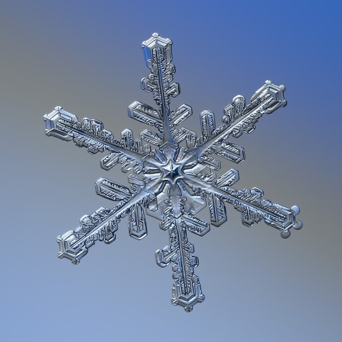 In Store Workshop - Snowflake Cutouts Wednesday, Jan. 10 - 4pm to 6pm